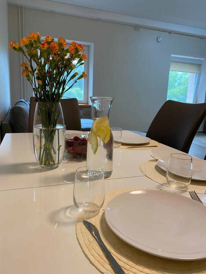 V15 Apartment Druskininkai Extérieur photo
