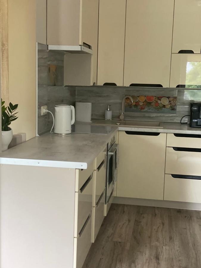 V15 Apartment Druskininkai Extérieur photo