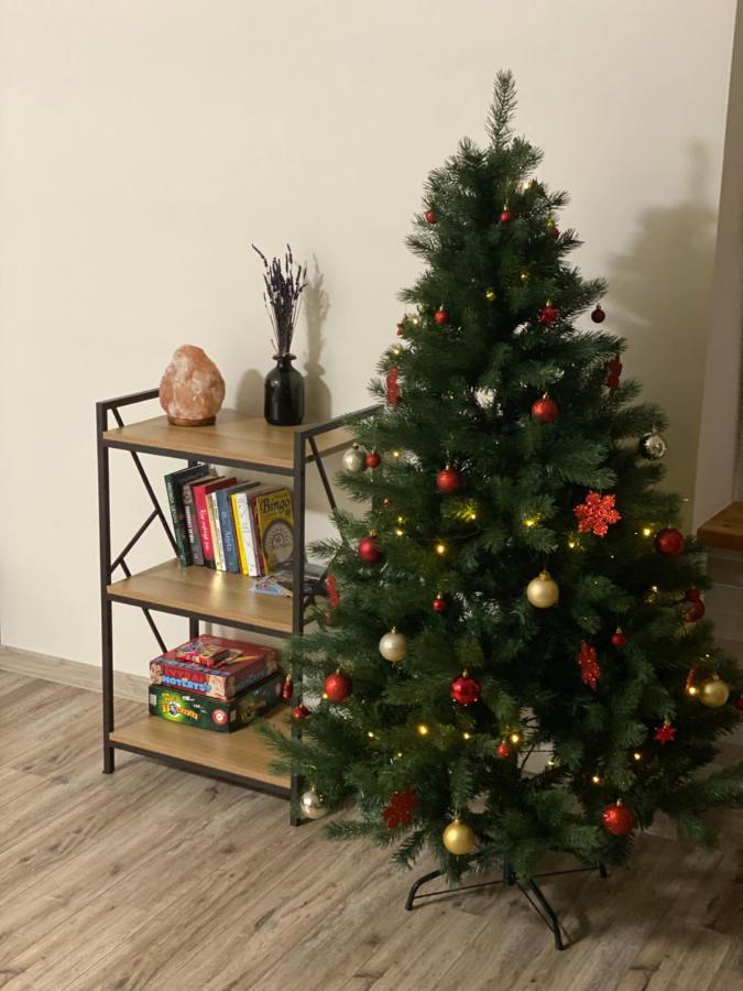 V15 Apartment Druskininkai Extérieur photo