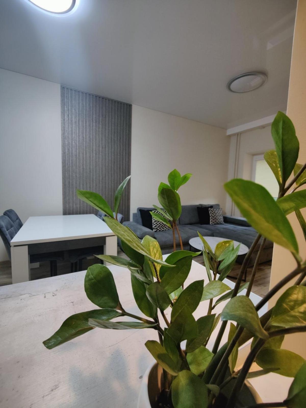 V15 Apartment Druskininkai Extérieur photo